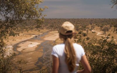 New Destination Management Company in Tanzani: Gaia Safari