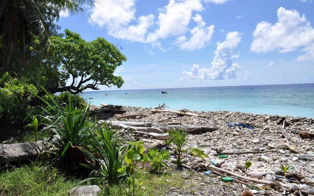 Rotary Club of Palau: Typhoon Bopha Relief Fund