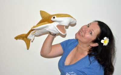 A Heart for Sharks: The most creative selfie with “Harry the Hammerhead” at Sam’s Tours booth wins dream vacation