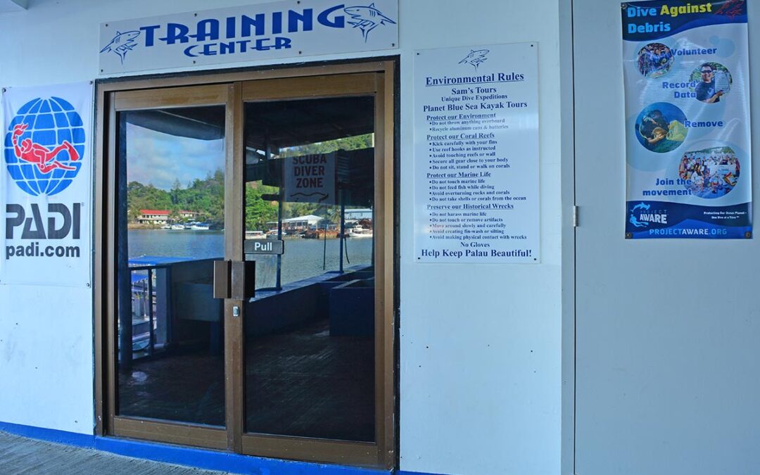 Listen to the doc’s advice: Learn diving the easy way